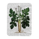 Recherche de animal vintage magnets Cru