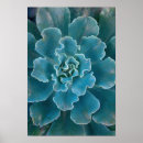 Recherche de floor posters Californie