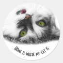 Search for breed stickers Cat