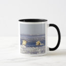 Search for endangered animals mugs Baby