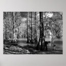 Recherche de waterscapes art Paysage