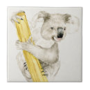 Recherche de koala carreaux Animal