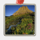 Recherche de cascades ornements Glacier