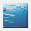 Search for aggression home living Swimming