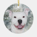 Search for pitbull ornaments Happy
