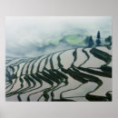 Recherche de champ agricole posters Terres cultivées