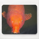 Recherche de prospérité cartes postales Japonaise