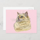 Recherche de dessin de chat cartes postales Animal