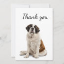 Recherche de st bernard cards Dog