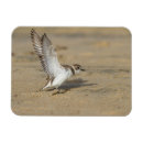 Recherche de neigeux magnets Animal