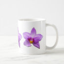 Search for wild orchid mugs Nature