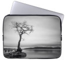 Search for bare tree electronics Outdoors