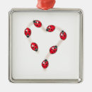 Recherche de coccinelle ornements Scarabée