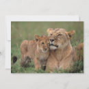 Search for africa thank you cards Savannah