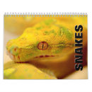 Search for snake calendars Wildlife