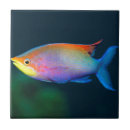 Search for fish tiles Trivet