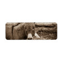 Search for donkeys return address labels Horse