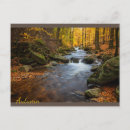 Search for autumn forest postcards Fall