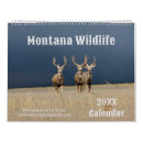 Search for bison calendars Animals