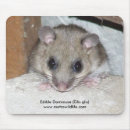 Search for edible electronics Nature