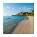 Search for fiji coasters Michael runkel