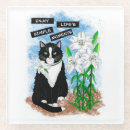 Search for tuxedo cat coasters Kitty