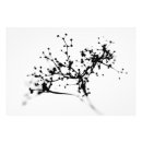 Recherche de de biochimie posters Abstraite