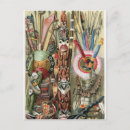 Recherche de congo posters Native