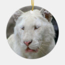 Recherche de tigre blanc ornements Animal