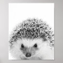 Recherche de hérisson posters Mur