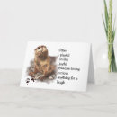 Search for funny otter birthday cards Animal