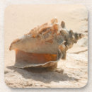 Search for sea shell coasters Seashore