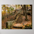 Search for autumn foliage posters Rustic