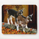 Search for autumn colours mousepads Animals