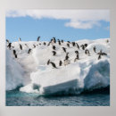 Recherche de penguin posters Paysage