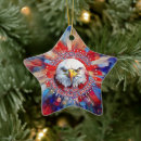 Search for 1776 ornaments 250