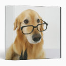 Recherche de cha photographie Animal