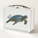 Search for sea turtle lunch boxes Ocean