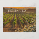 Recherche de vignobles cartes postales Cave