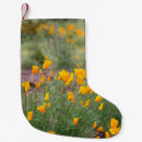 Recherche de fleurs sauvages chaussette de noël Coloré