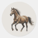 Search for mustang horse stickers Equestrian