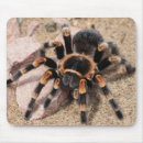 Recherche de genoux tapis souris Animal de compagnie