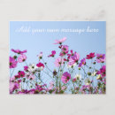 Search for message postcards Pink