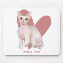 Recherche de amour chat tapis souris Chaton