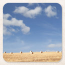 Recherche de foin dessous de verres Agriculture