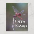 Search for insect christmas cards Wings
