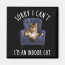 Search for controllers magnets Cats