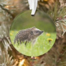 Search for hedgehog ornaments Germany