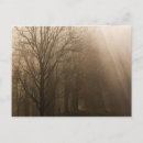 Search for joanne postcards Cades cove