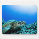 Search for one animal mousepads Outdoors